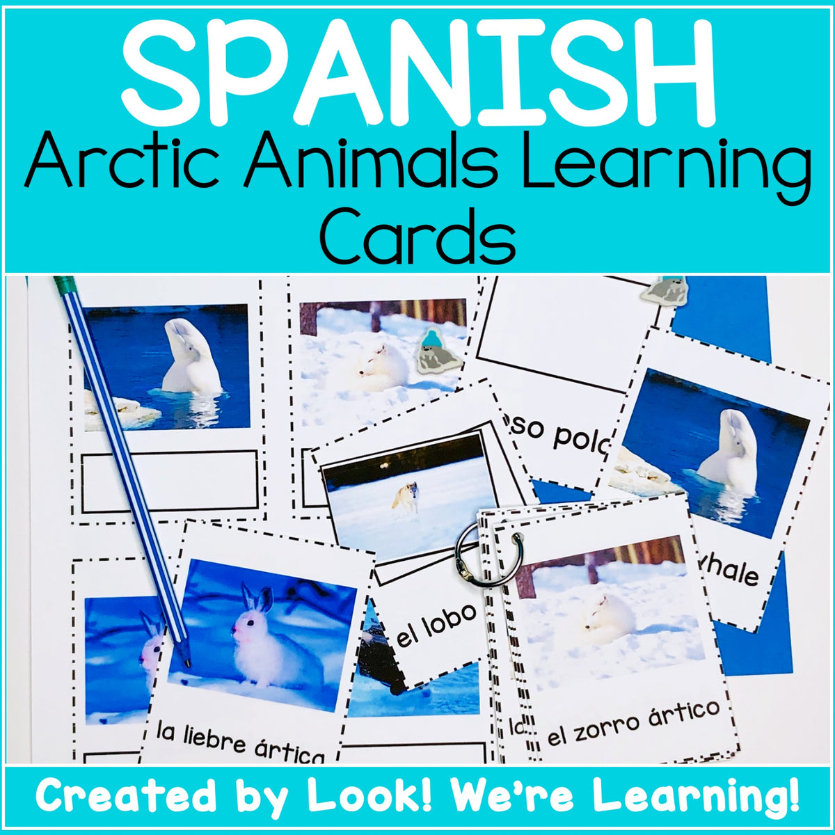 Spanish Winter Animal Flashcards - Look! We're Learning – Look! We're ...