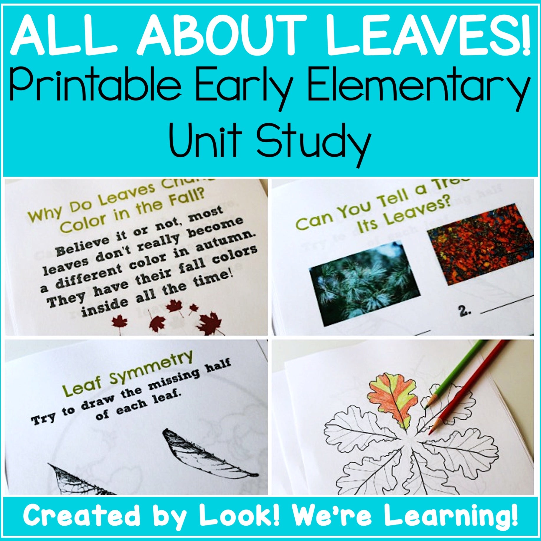All About Leaves Unit Study – Look! We're Learning!
