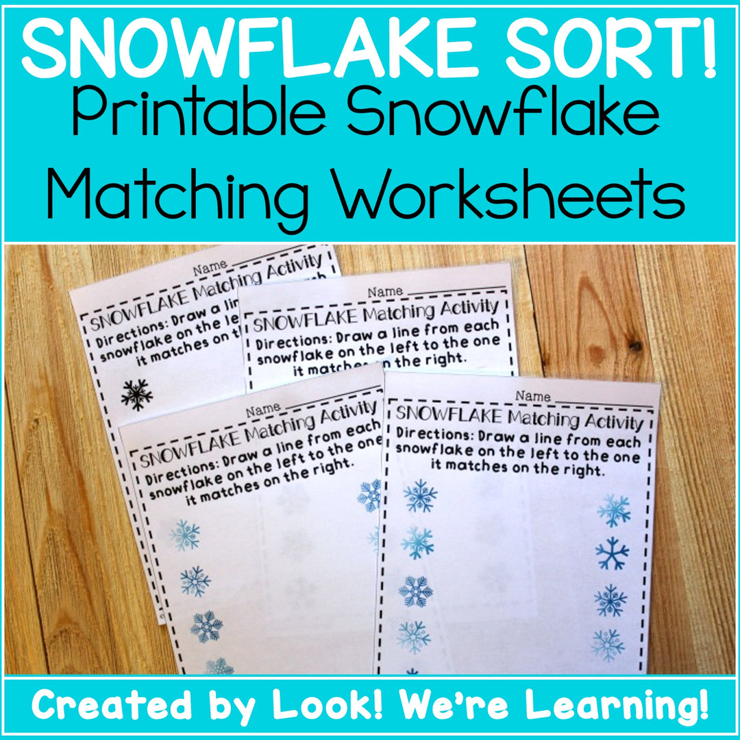 Snowflake Sort! Snowflake Matching Worksheets – Look! We're Learning!